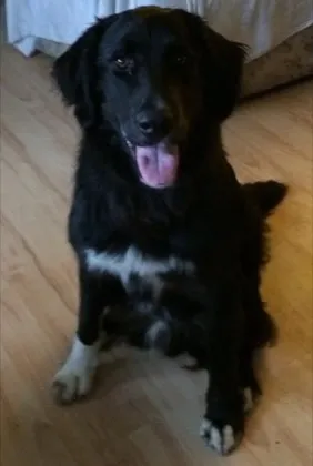 Baxter