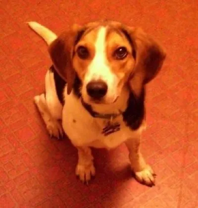 Buster