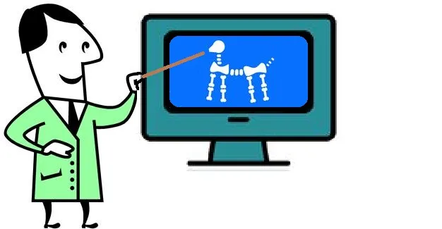 Digital x-ray illustration